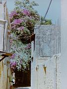PICT0020