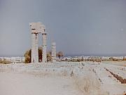PICT0029